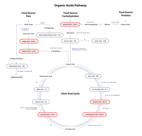 OATS 2026-04-15 210747