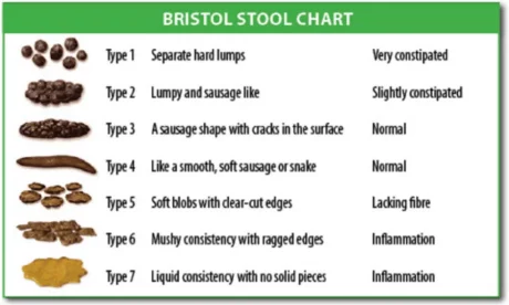 Bristol stool form 980x589.png