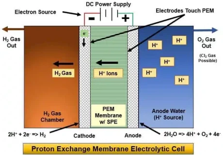 Proton exchange membrane.jpg