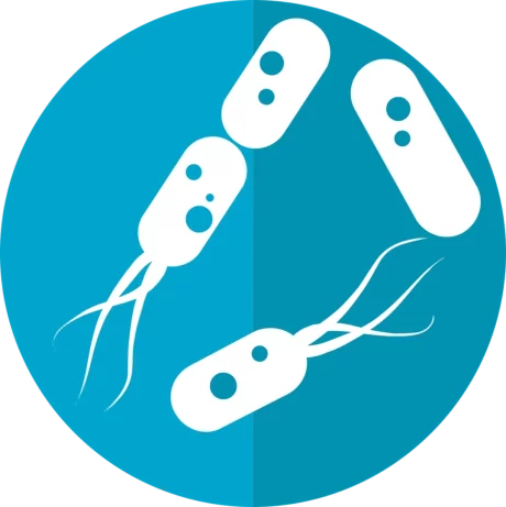 bacteria icon 2316230 1280 1080x1083.png