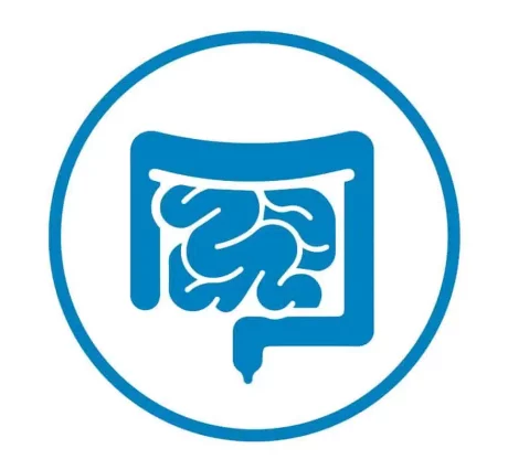 Digestion icon small
