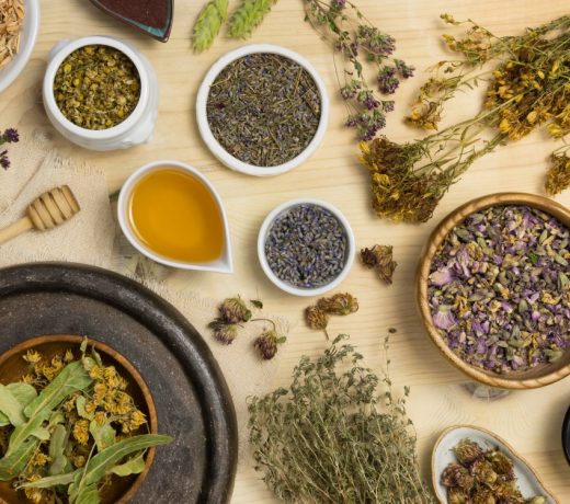 flat lay natural medicinal spices herbs