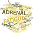 Adrenal Fatigue Test