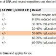 Personalised Health Report – Your DNA + Opus23