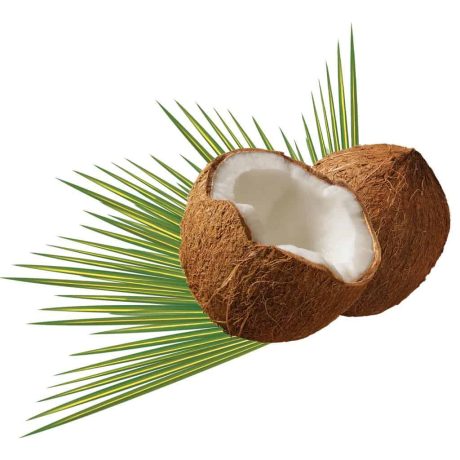 Coconut_with_leaf