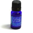 Eucalyptus Essential Oil 100% Pure Organic 10mL