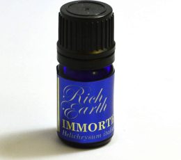 Everlasting essential oil also known as immortelle