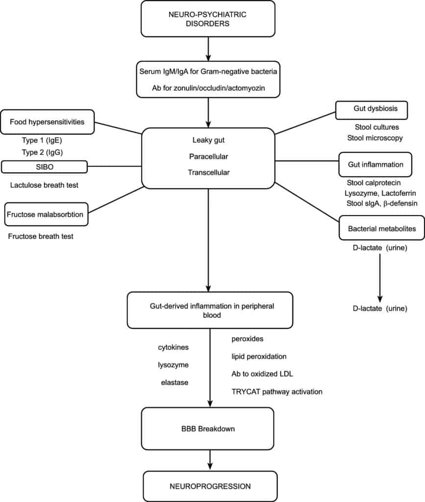 Food Intolerance Tests 4 Leaky gut food intolerance