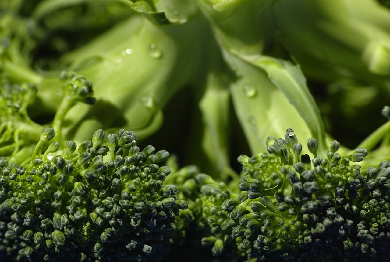 broccoli for magnesium